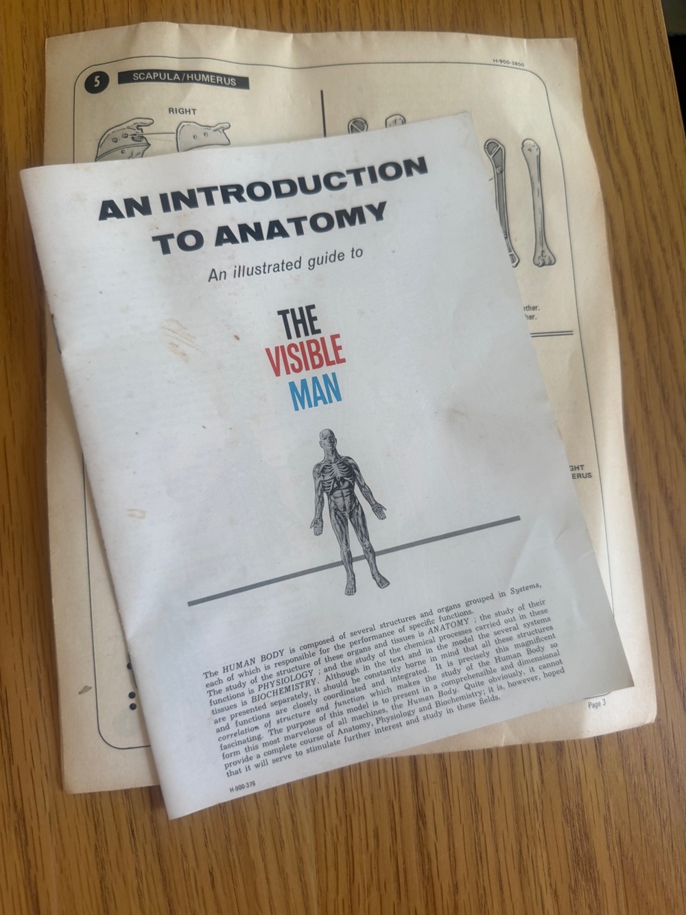 Revell Invisible Man - Picture 3 of 4
